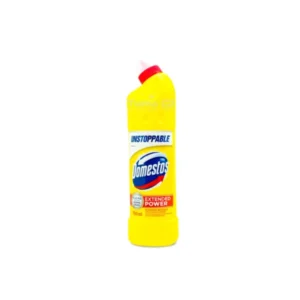 Domestos 750mL
